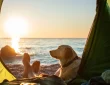 Camping With Dogs: 5 Fun Outdoor Activities To Try
