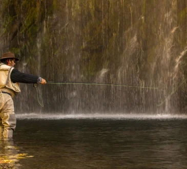 What Is Fly Fishing? Your Complete Starter Guide
